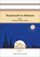 Mondnacht in Böhmen 