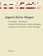 La Catedral - Julia Florida 