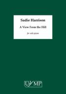 A View From the Hill 