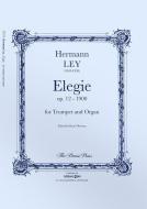 Elegie Standard