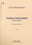 Sonata concertante in Re minore Standard