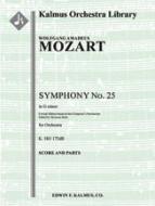 Symphony No. 25 in G minor, K. 183/173dB 