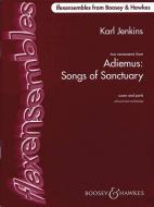Adiemus: Songs of Sanctuary 