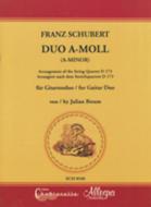 Duo a-Moll D 173 