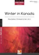 Winter in Kanada 