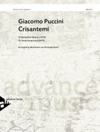 Crisantemi 
