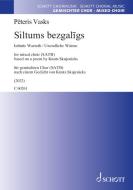 Siltums bezgalīgs Download