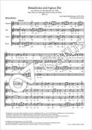 Benedictus und Agnus Dei JWV 57 Download