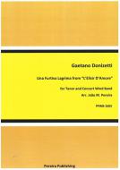 Una furtiva lagrima aus "L'Elisir d'amore" 
