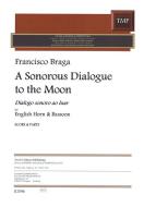 A sonorous dialogue to the moon 