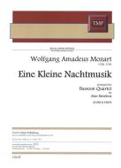 Eine kleine Nachtmusik 