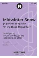 Midwinter Snow 