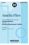 Amelia Flies 