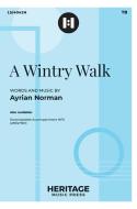 A Wintry Walk 