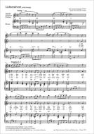 Lichteradvent Standard