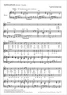 Lichteradvent Standard