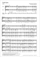 Vuele lejos Standard