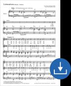 Lichteradvent Download