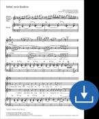 Schlaf, mein Kindlein Download