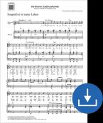 Sorgenfrei ist unser Leben Download