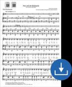 Nachtlager der Käsebande Download