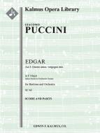 Edgar: Act I, Aria: Questo amor, vergogna mia 