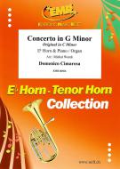 Concerto in G Minor Standard