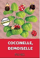 Coccinelle, Demoiselle 