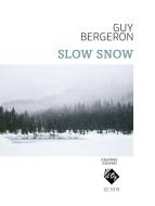 Slow Snow 