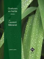 Quatuors en herbe 2 