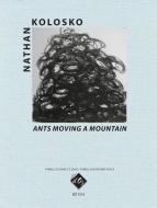 Ants Moving a Mountain 