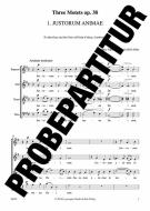 Justorum animae Download