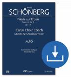 Friede auf Erden op. 13 