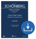 Friede auf Erden op. 13 