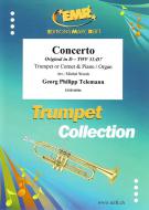 Concerto TWV 51:D7 Standard