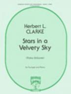 Stars in a Velvety Sky 