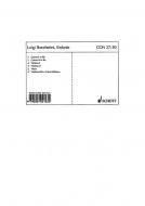 Sinfonie D-Dur G 500 