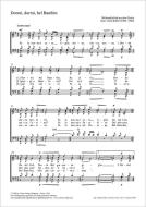 Dormi, dormi, bel Bambin 