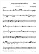 Lasst uns sorgen, lasst uns wachen BWV 213 Standard