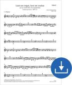 Lasst uns sorgen, lasst uns wachen BWV 213 Download