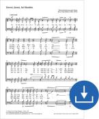 Dormi, dormi, bel Bambin 