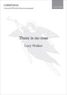 There is no rose 