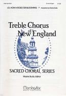 Lo, How a Rose E'er Blooming 