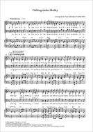 Frühlingslieder-Medley Standard