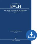 Ach Gott, wie manches Herzeleid BWV 3 Download
