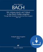 Wir müssen durch viel Trübsal BWV 146 Download