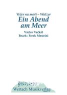 Ein Abend am Meer 