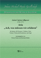 Ach, was müssen wir erfahren 