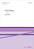 echo 