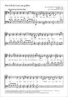 Nun will der Lenz uns grüßen Standard